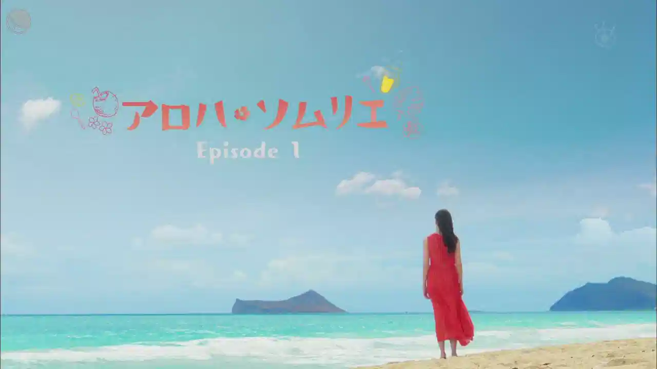 Aloha·品酒师