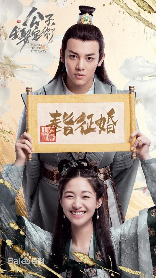公子，我娶定你了
