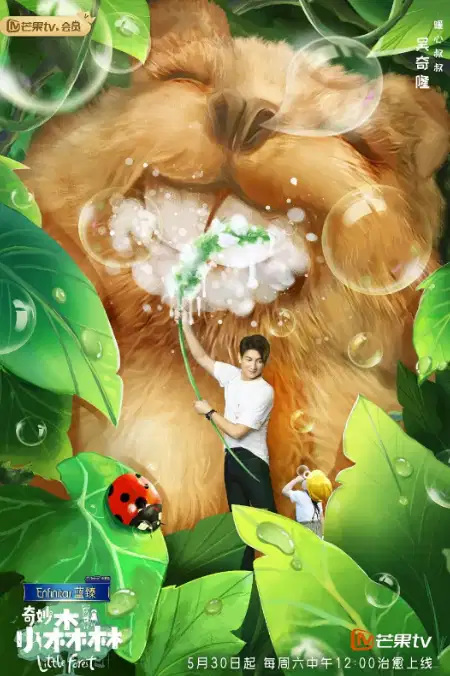 奇妙小森林