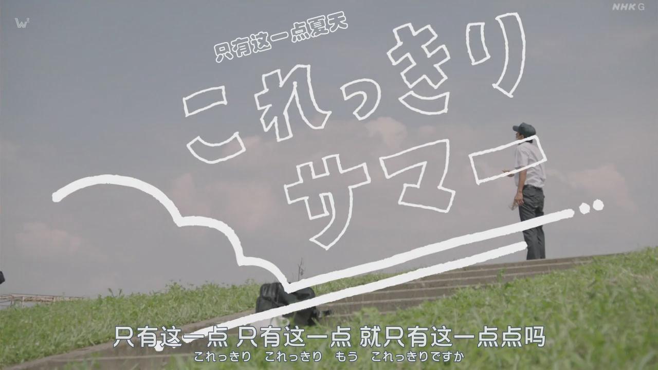 只有这一点夏天