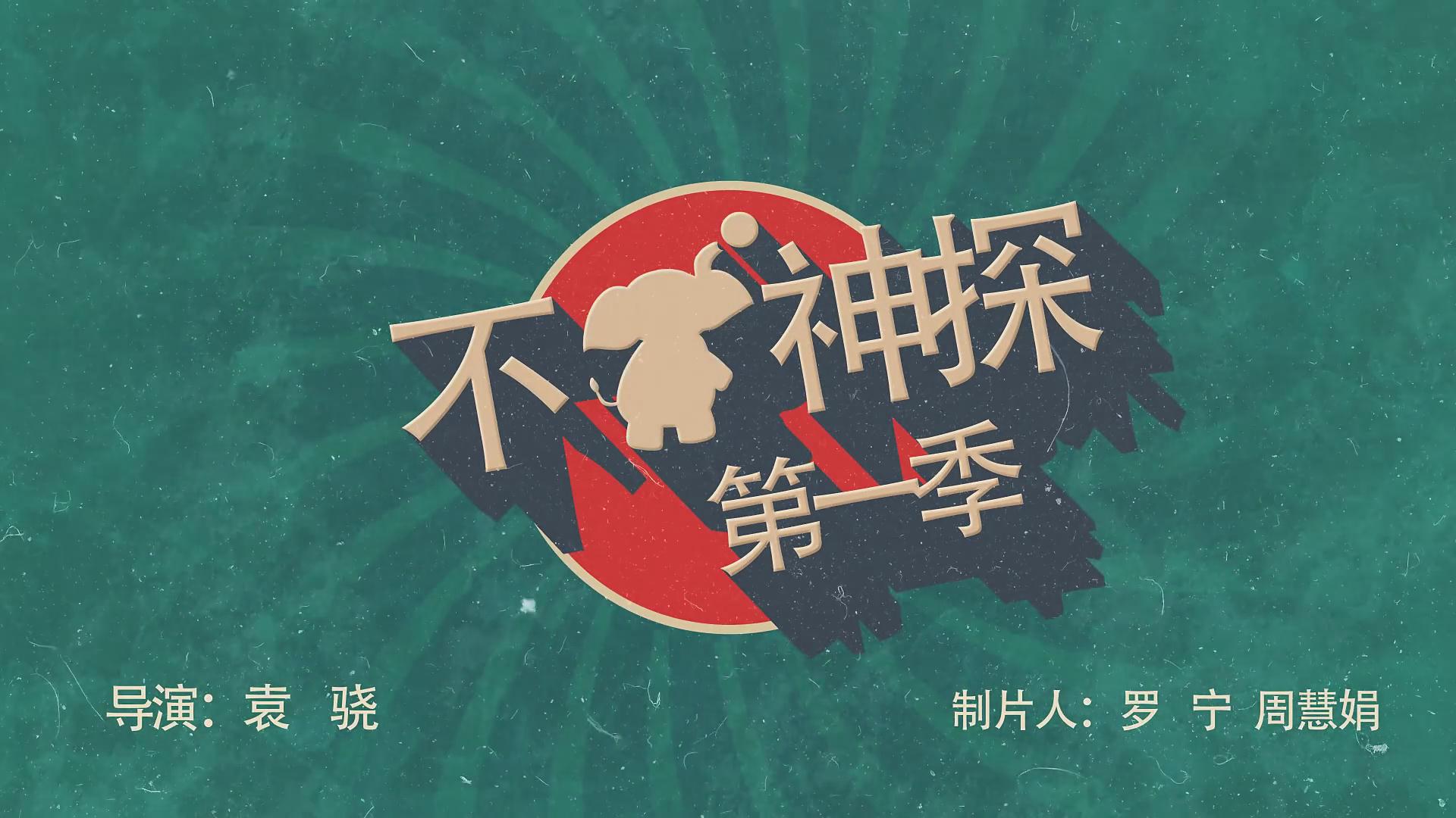 不像神探