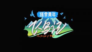 探索青年飞鸟