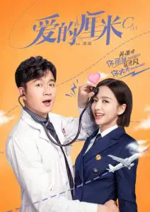 爱的厘米 DVD版