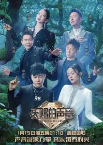 天赐的声音第二季