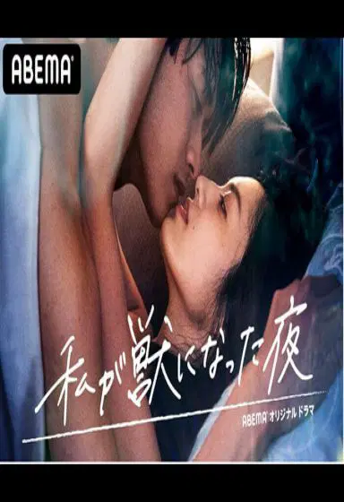 我放纵情欲的夜晚