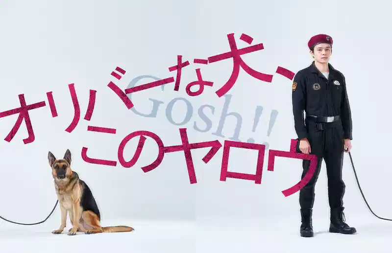 奥莉佛是狗，（天哪！！）