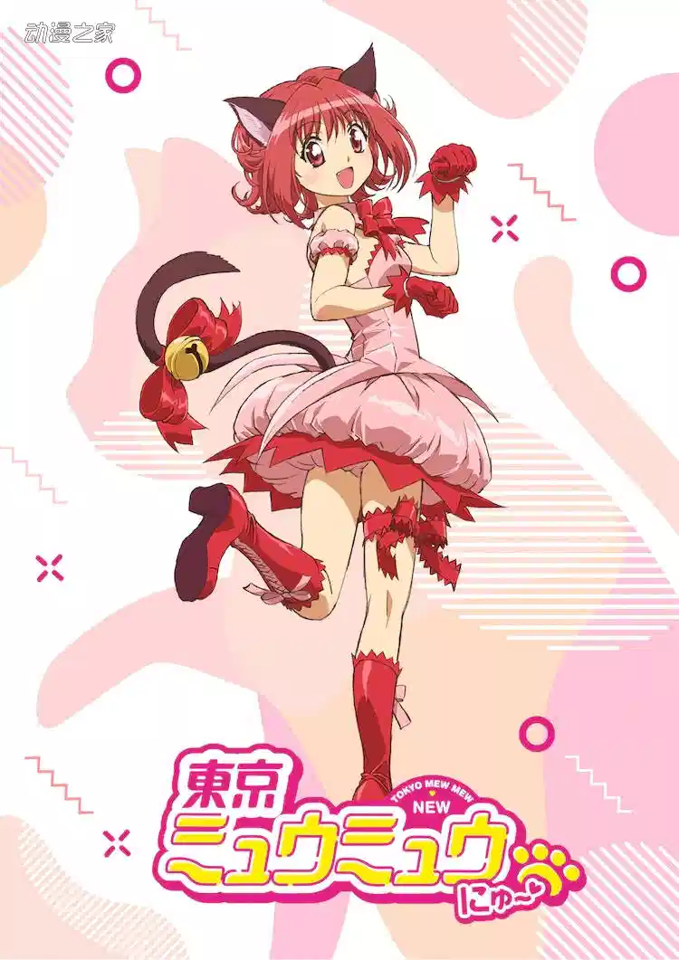 东京猫猫 NEW