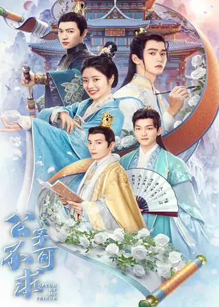 公子不可求