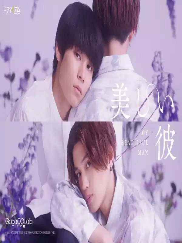 美丽的他 第二季