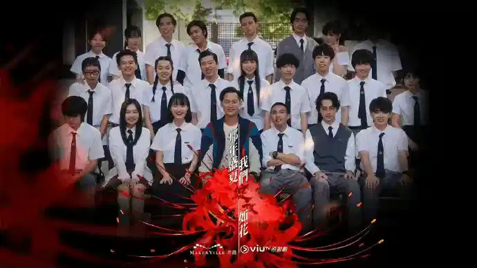 那年盛夏 我们绽放如花