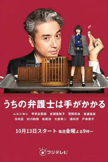 我家的律师很麻烦