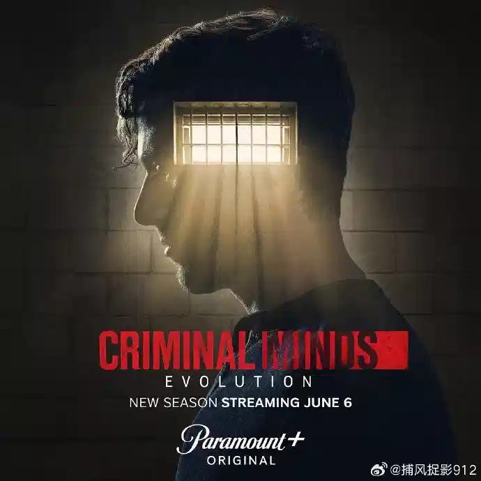 犯罪心理：演变 第十七季