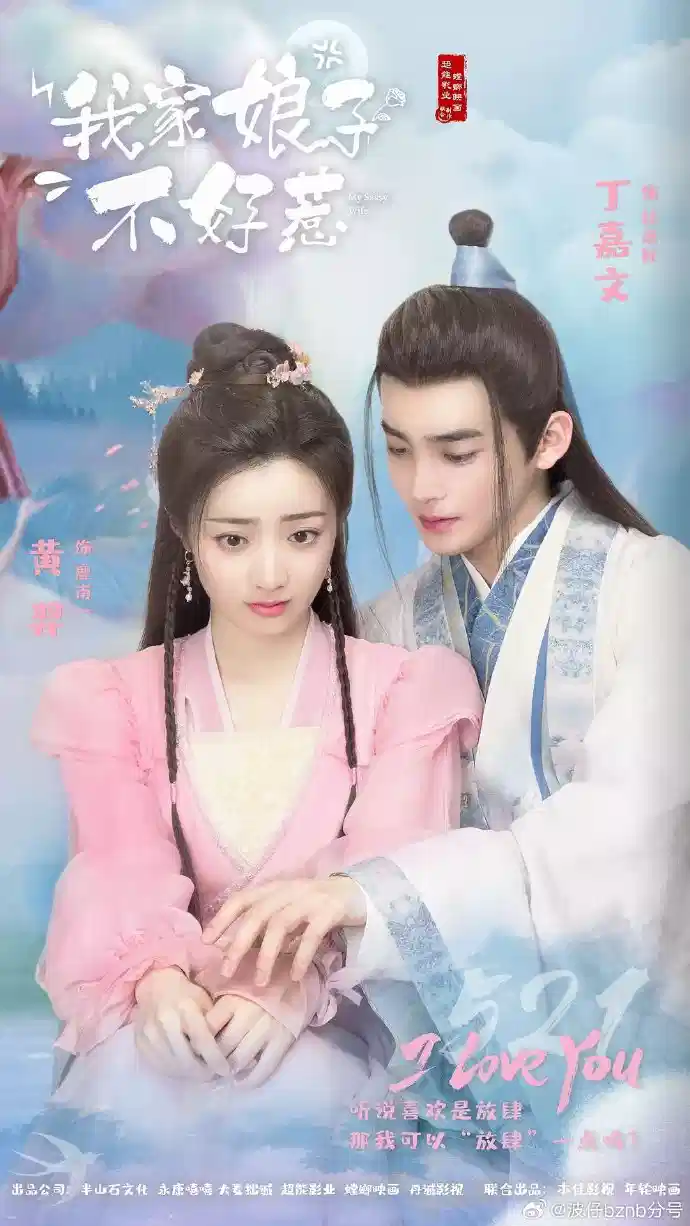 我家娘子惹不起