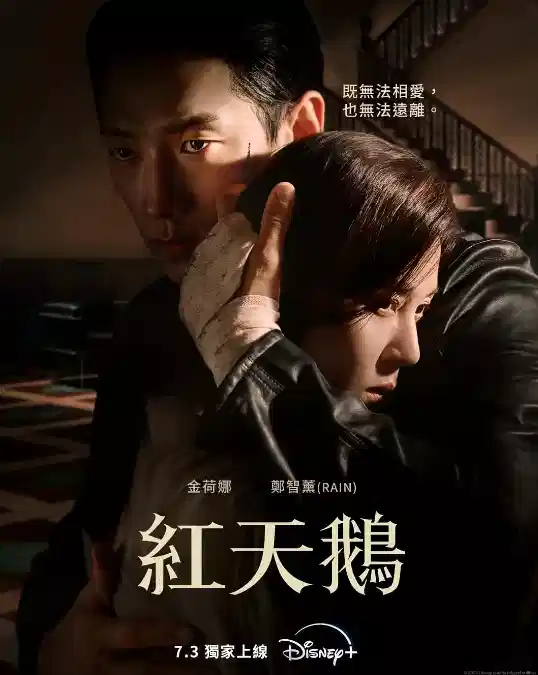 红天鹅