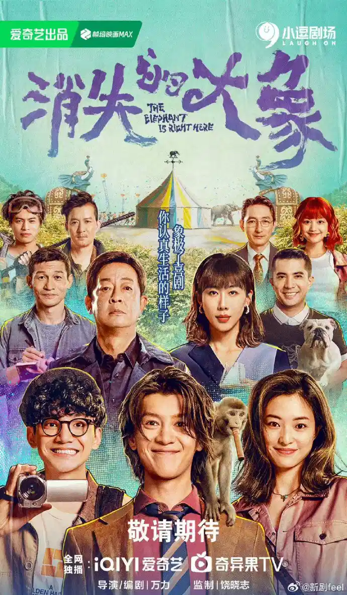 消失的大象