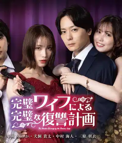 完美妻子的完美复仇计划
