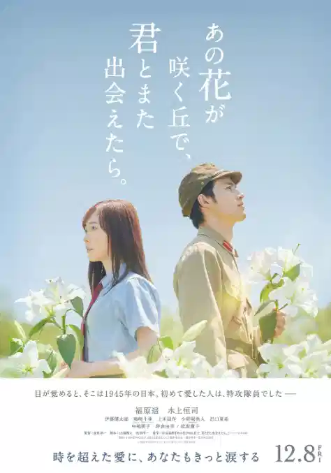 与你再遇鲜花盛开之丘