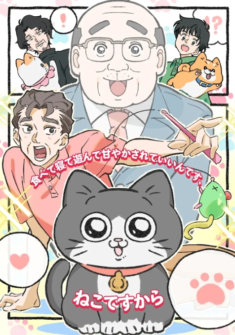 转生成猫的大叔