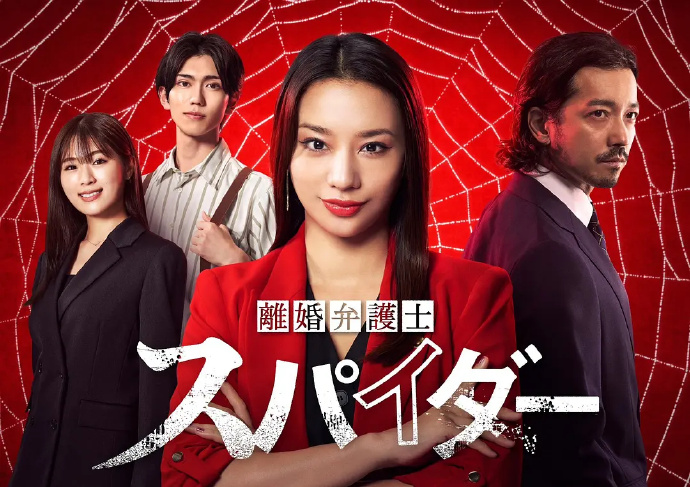 离婚律师蜘蛛