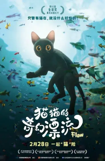 猫猫的奇幻漂流