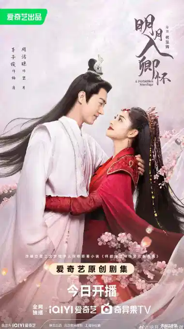 明月入卿怀