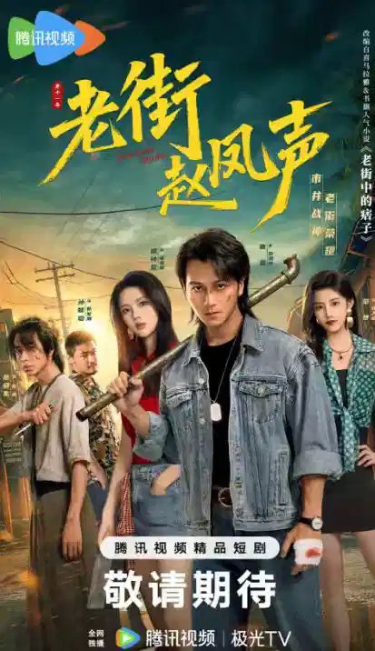 老街赵凤声