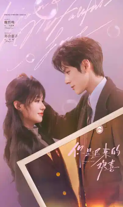 你是迟来的欢喜