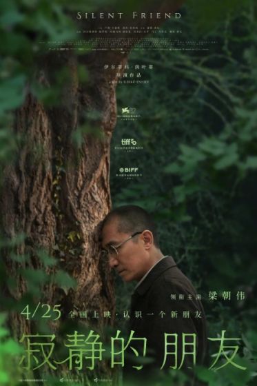 寂静的朋友