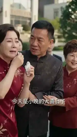 替嫁后，我成了残少心尖宠