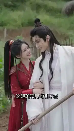 报告魔尊：帝君他对你动了凡心
