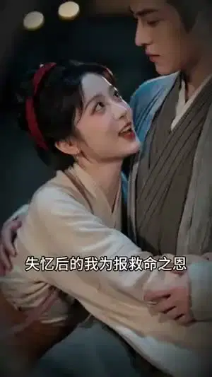 鹤归知兰
