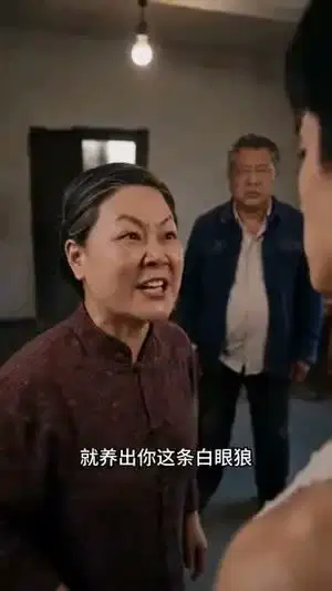 重生85：从收废品做到百亿富豪