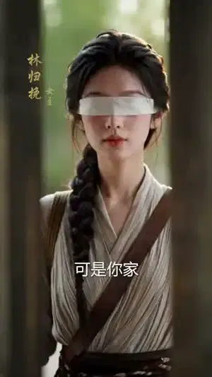 盲女嫁东宫