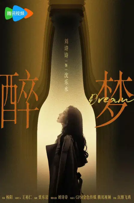 醉梦 海报